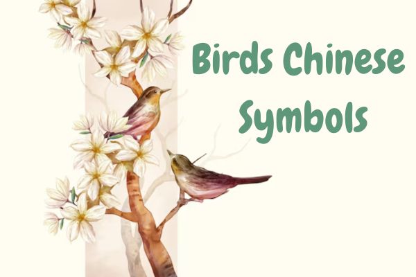 Bird Chinese Symbols image